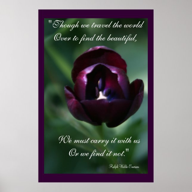 Poster Inspiracional de Tulip Roxo (Frente)