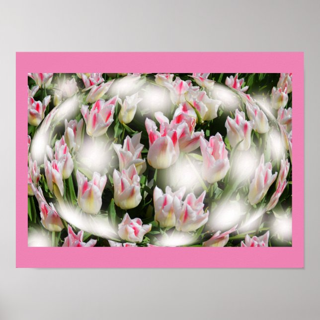 Póster Inspirações de tulipas (Frente)