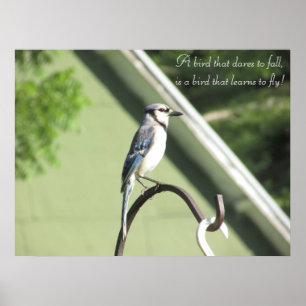 Poster inspirado das citações da fotografia de J