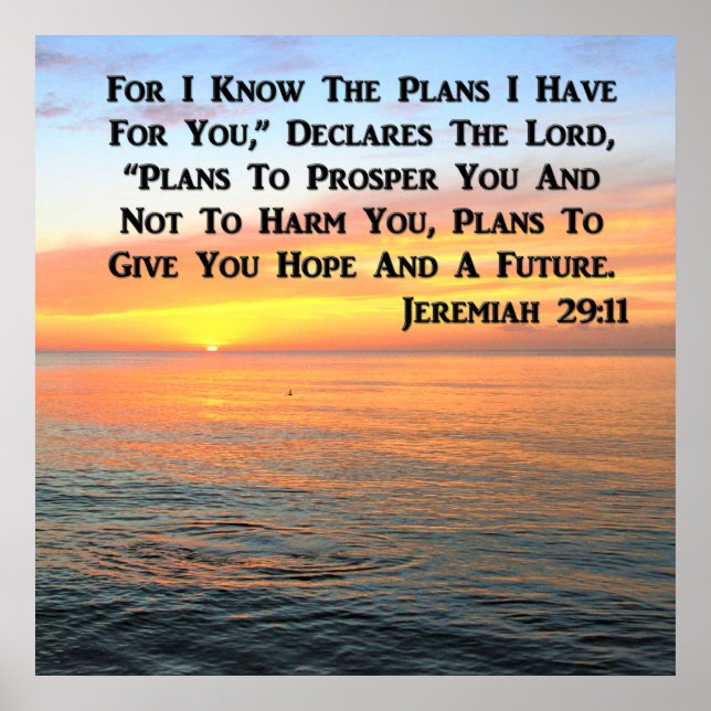 POSTER INSPIRANDO JEREMIAH 29:11 SOL (Frente)
