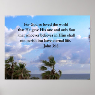 POSTER INSPIRANDO JOHN 3:16 FOTO