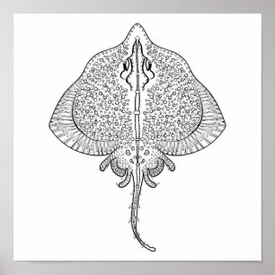 Póster Inspired Stingray Totem 2