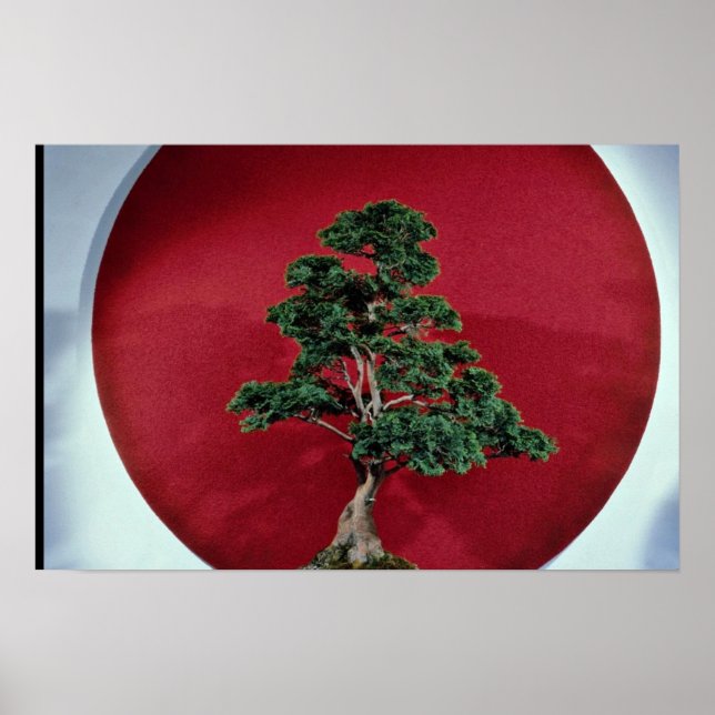 Póster Inspiring Bonsai tree (Frente)