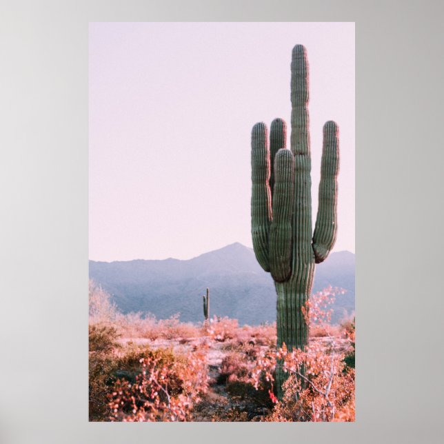 POSTER INSTALAÇÃO DE CACTUS BESIDE ORANGE LEAFED (Frente)