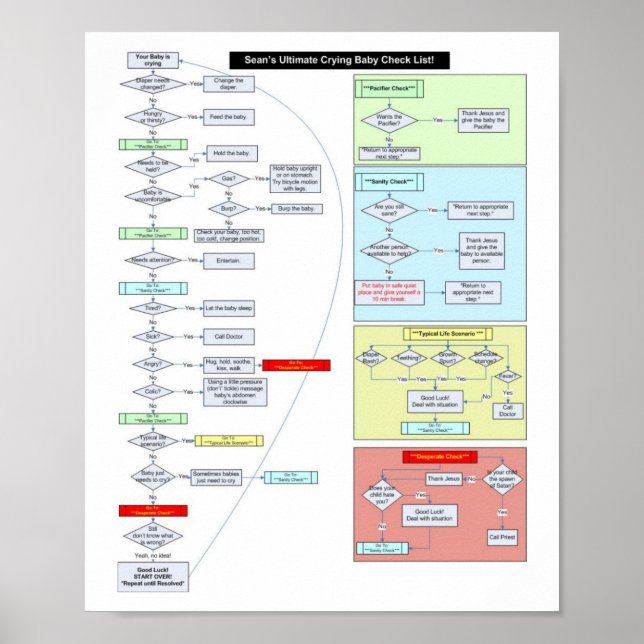 Poster Instruções para o bebê (Frente)