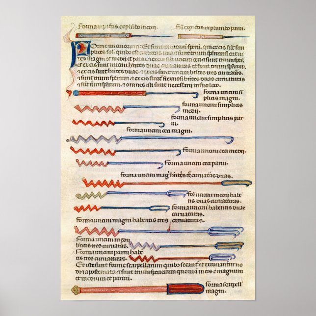 Póster Instrumentos cirúrgicos de um tratado (Frente)