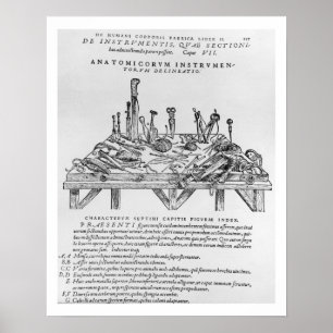 Póster Instruments for Dissections, illustration from 'De