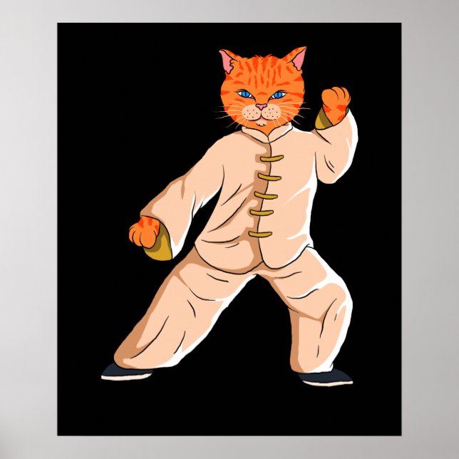 Poster Instrutor Tai Chi Cat (Frente)