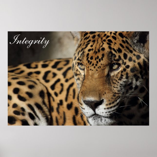 Póster Integridade (Frente)