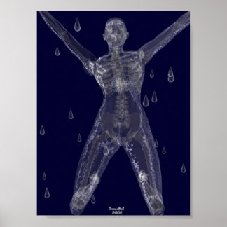 Póster Intenções Cruéis