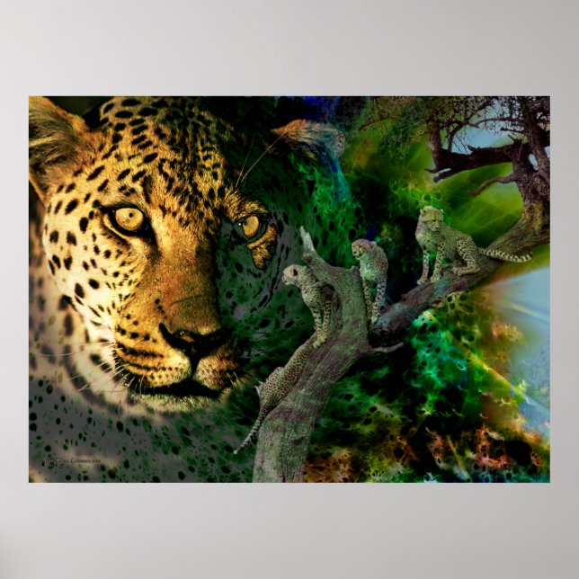 Póster Intensidade de Vigilância (Frente)