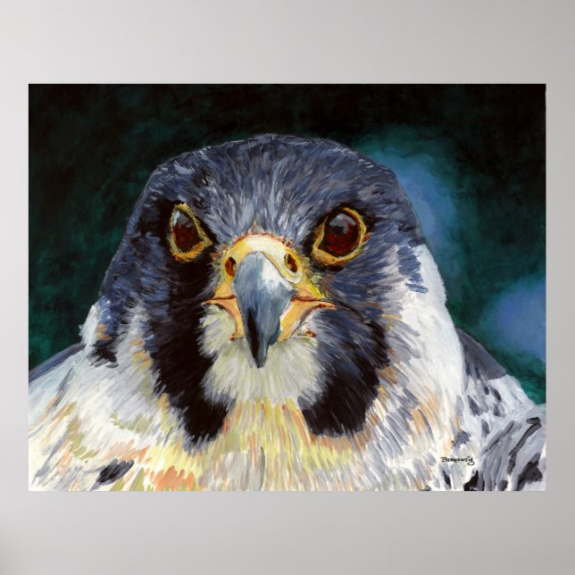 Póster Intensidade - O Diário do Falcão (Frente)