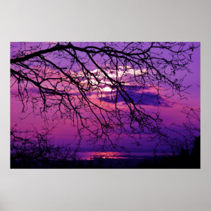 Poster Intenso e vívido - paisagem roxa do por do sol