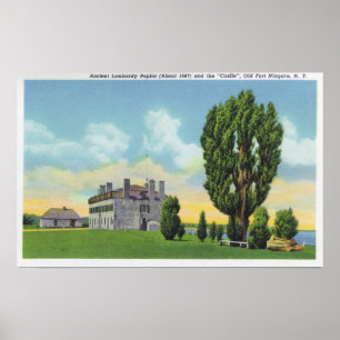 Póster Interior da Capela Jesuíta no Castelo Francês Anti