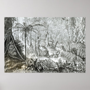 Póster Interior de uma floresta primitiva nos Amazons