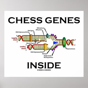 Póster Interior dos genes da xadrez (réplica do ADN)