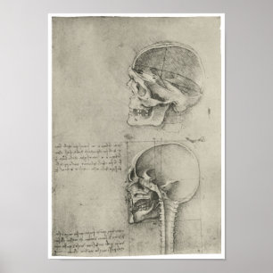 Póster Interior View of the Skull, Leonardo da Vinci