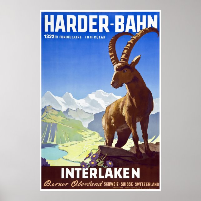 Póster Interlaken,Suiça,Poster de viagens de Esqui (Frente)
