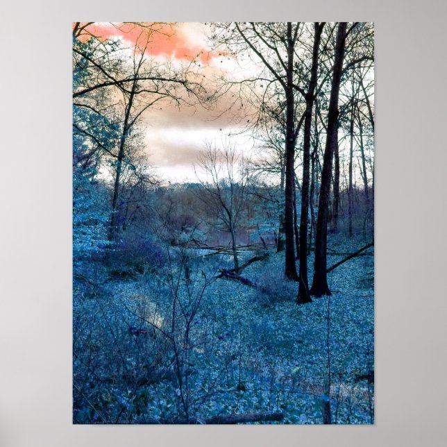 Poster Into The Woods (Frente)