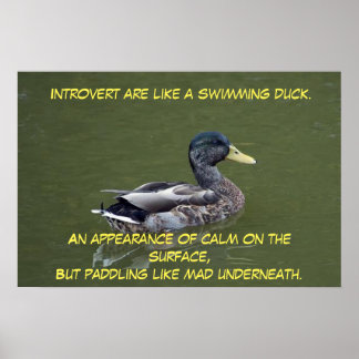 Poster Introdução ao Pato