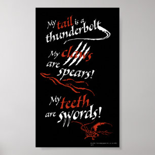 Póster Introdução SMAUG™