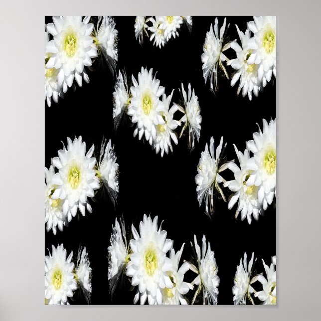 Poster Inveja de Flor de Cactos Brancos Pretos, (Frente)