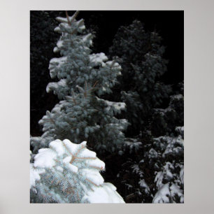 Poster Inverno