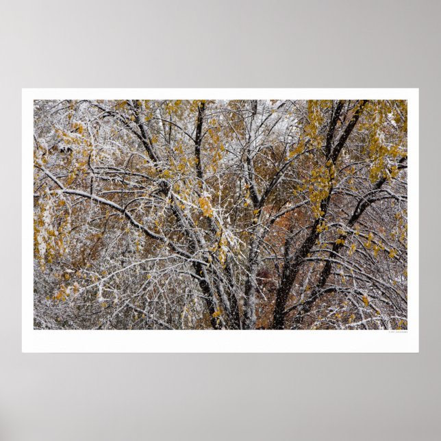 Poster Inverno (Frente)