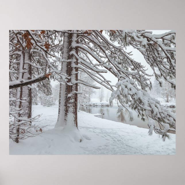 Poster Inverno Branco (Frente)