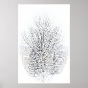 Póster Inverno canadense