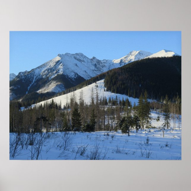 Poster Inverno de Tatras (Frente)