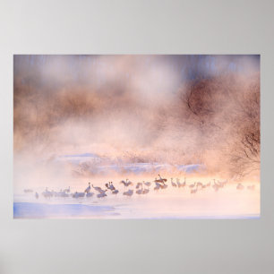 Poster Inverno do Japão. Cena de vida selvagem, natureza 
