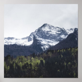 Poster Inverno e Primavera - árvores verdes e montanha de