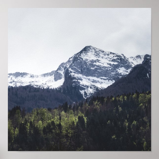 Poster Inverno e Primavera - árvores verdes e montanha de (Frente)