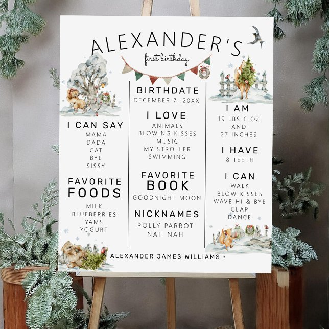 Poster Inverno encantado | Marco do primeiro aniversario  (Criador carregado)