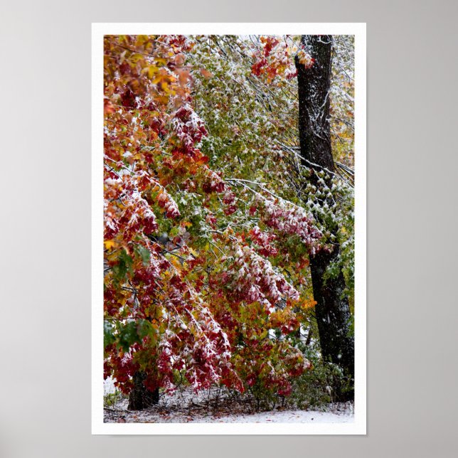 Poster Inverno inicio (Frente)