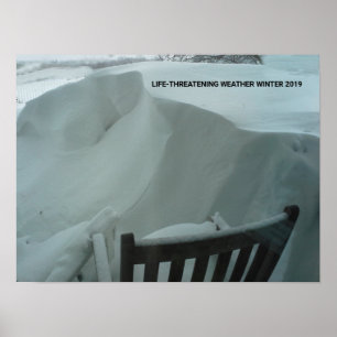 POSTER INVERNO METEOROLÓGICO AMEAÇADOR DA VIDA 2019