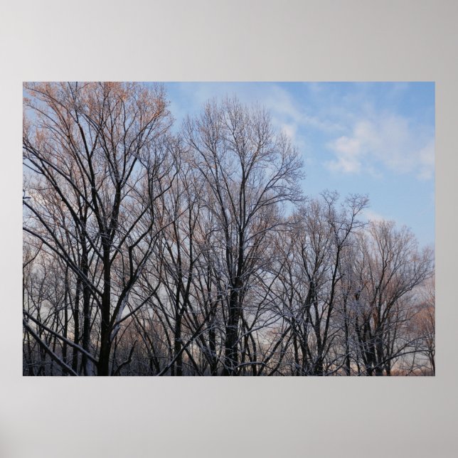 Poster Inverno Morning III Paisagem natural (Frente)