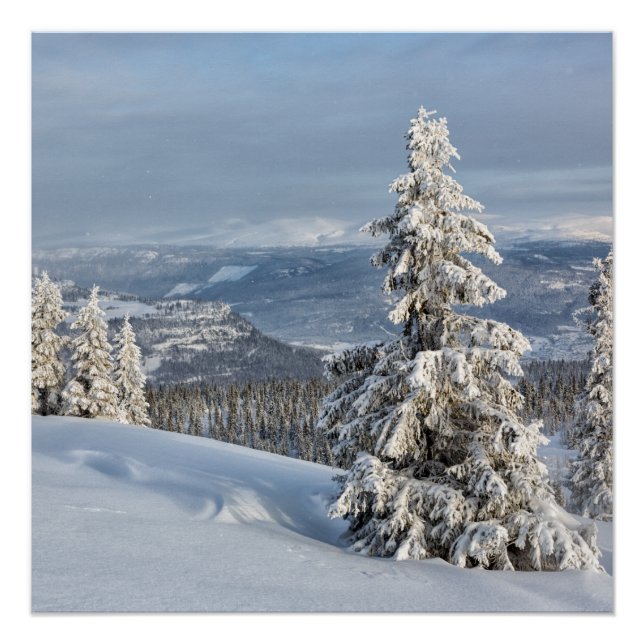 Póster Inverno na Noruega (Frente)