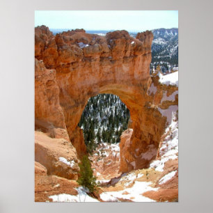 Póster Inverno no parque nacional da garganta de Bryce