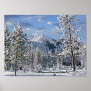 Póster Inverno no Parque Nacional de Yellowstone, Wyoming