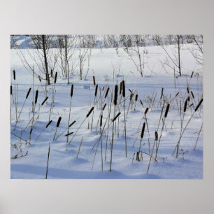 Poster Inverno no Quebec, Canadá