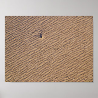Poster Invólucro de vento na areia VI - Saturação a cores