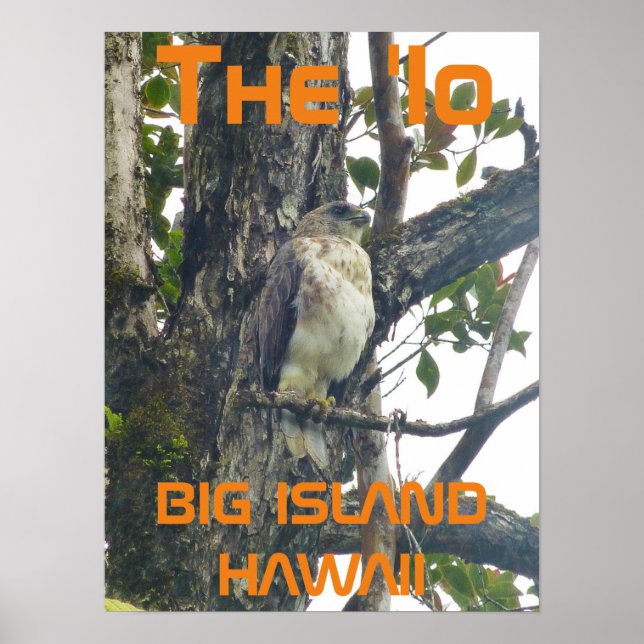 Poster Io BIG ISLAND HAWAII (Frente)