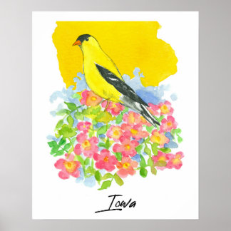 Poster Iowa State Shape Goldfinch Pink Wild Roses