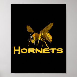 Poster Ir Hornets Pegbyll Bysebyll Bysketbyll Cheer Danc