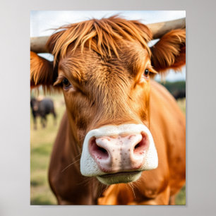 Poster Ir para a Vaca do Bovinos