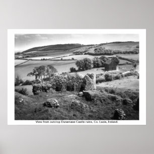 Póster Ireland - Co. Laois, castelo de Dunamase