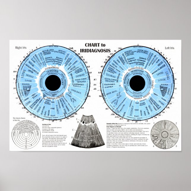 Poster Iridiagnosis Iridology Eye Chart  (Frente)