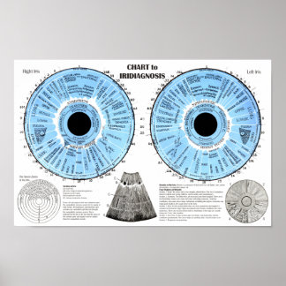 Poster Iridiagnóstico Iridologia Gráfico do Olho 